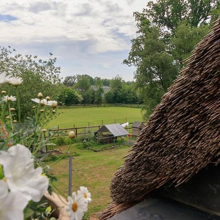 Het Grote Paard Apartamento Havelte Exterior foto