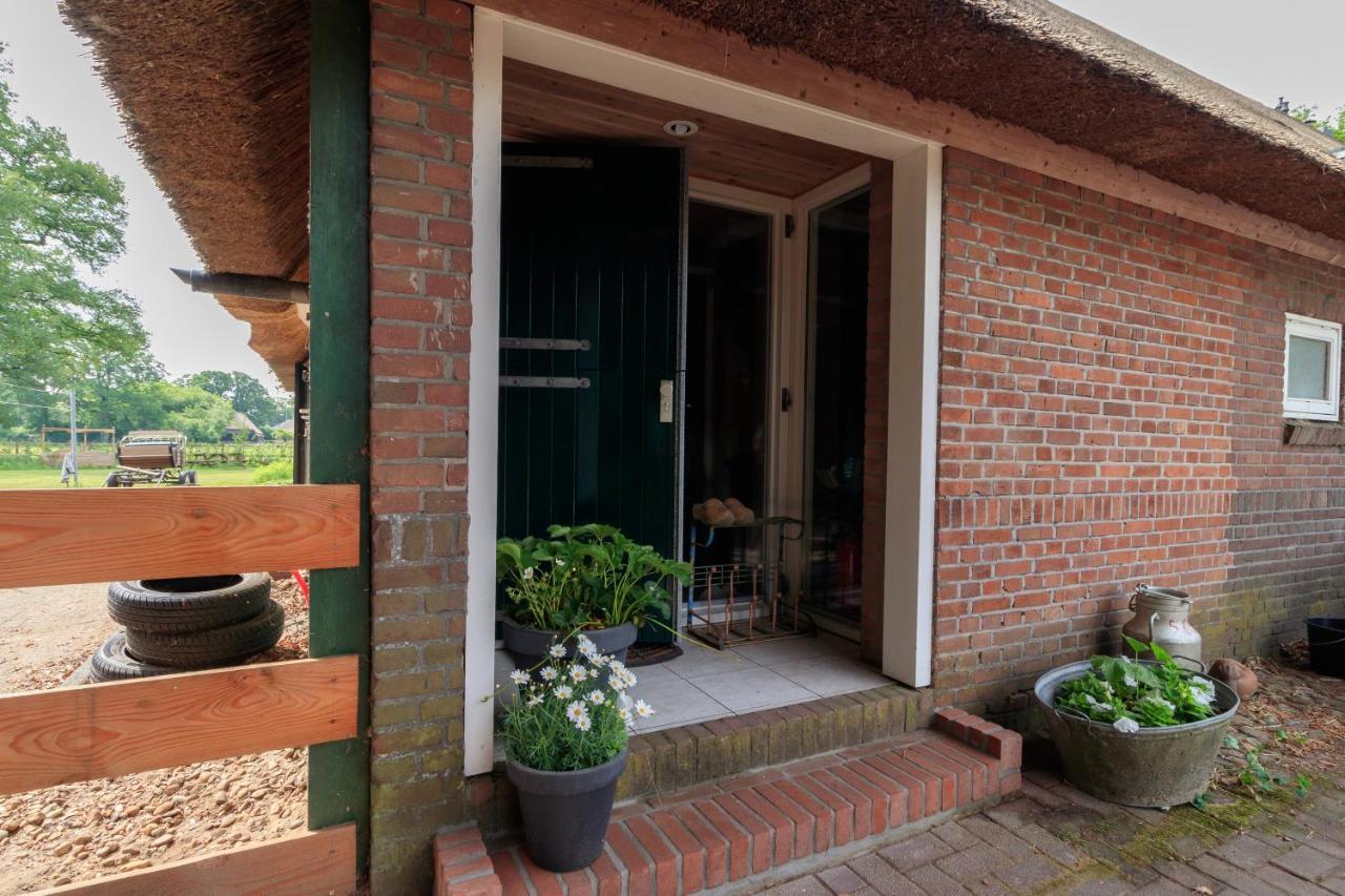 Het Grote Paard Apartamento Havelte Exterior foto