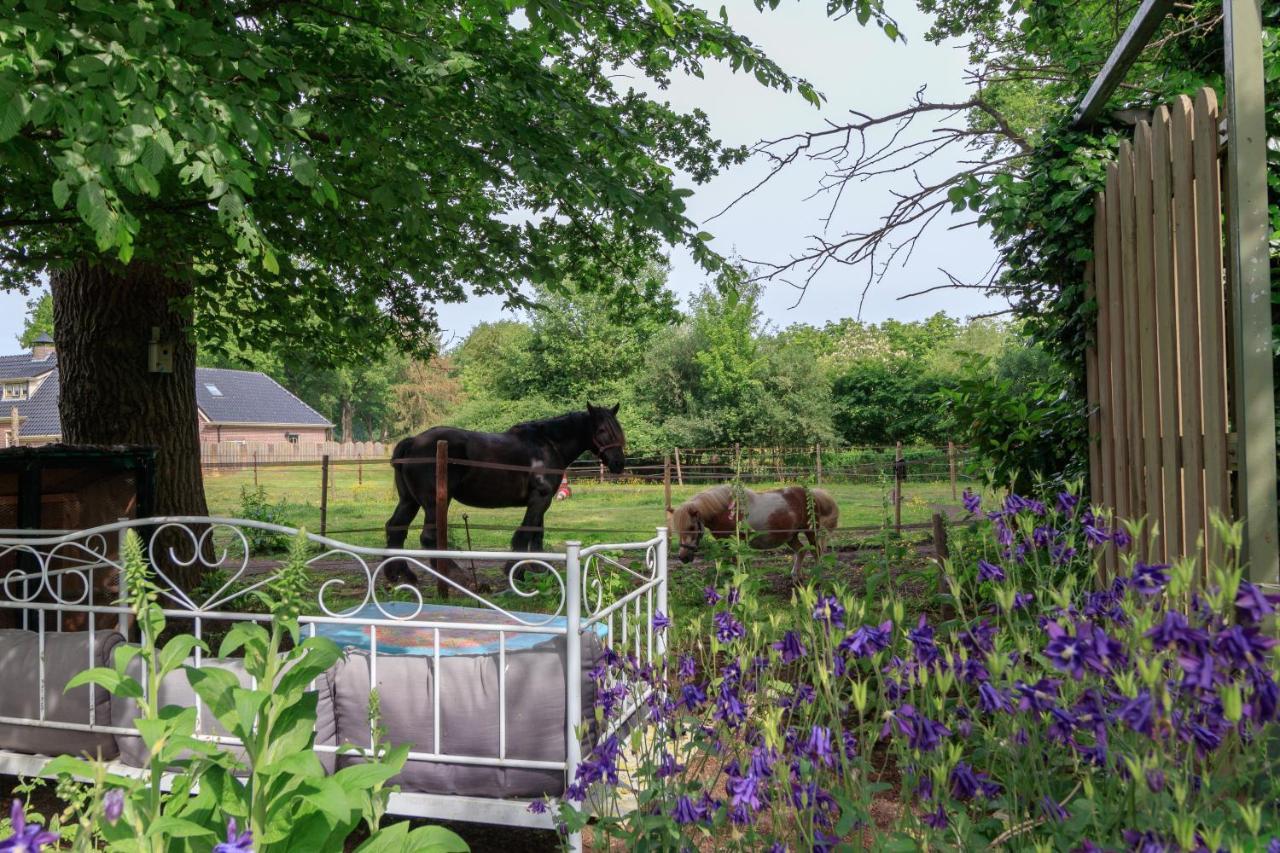 Het Grote Paard Apartamento Havelte Exterior foto
