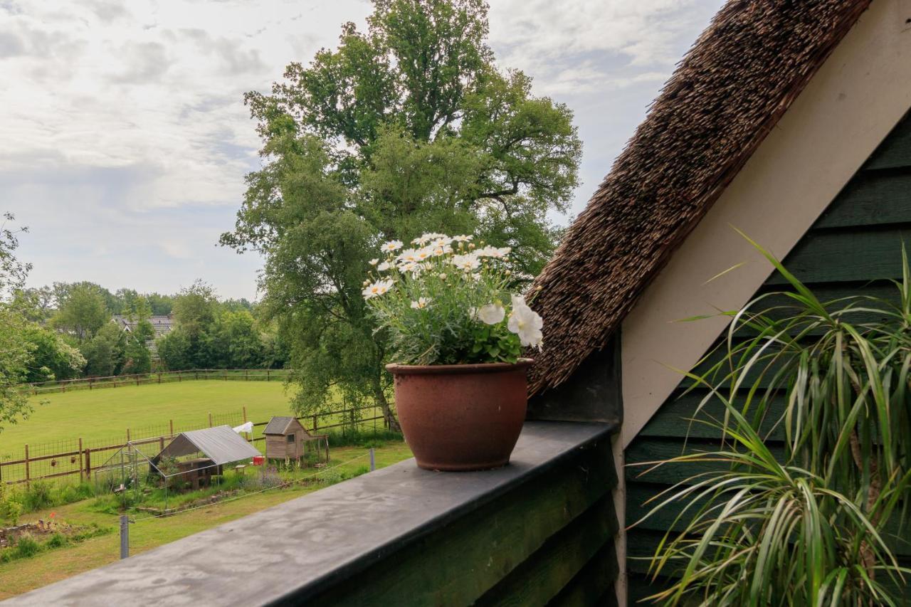 Het Grote Paard Apartamento Havelte Exterior foto