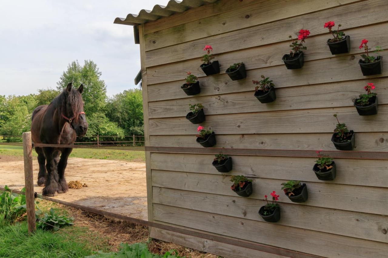Het Grote Paard Apartamento Havelte Exterior foto