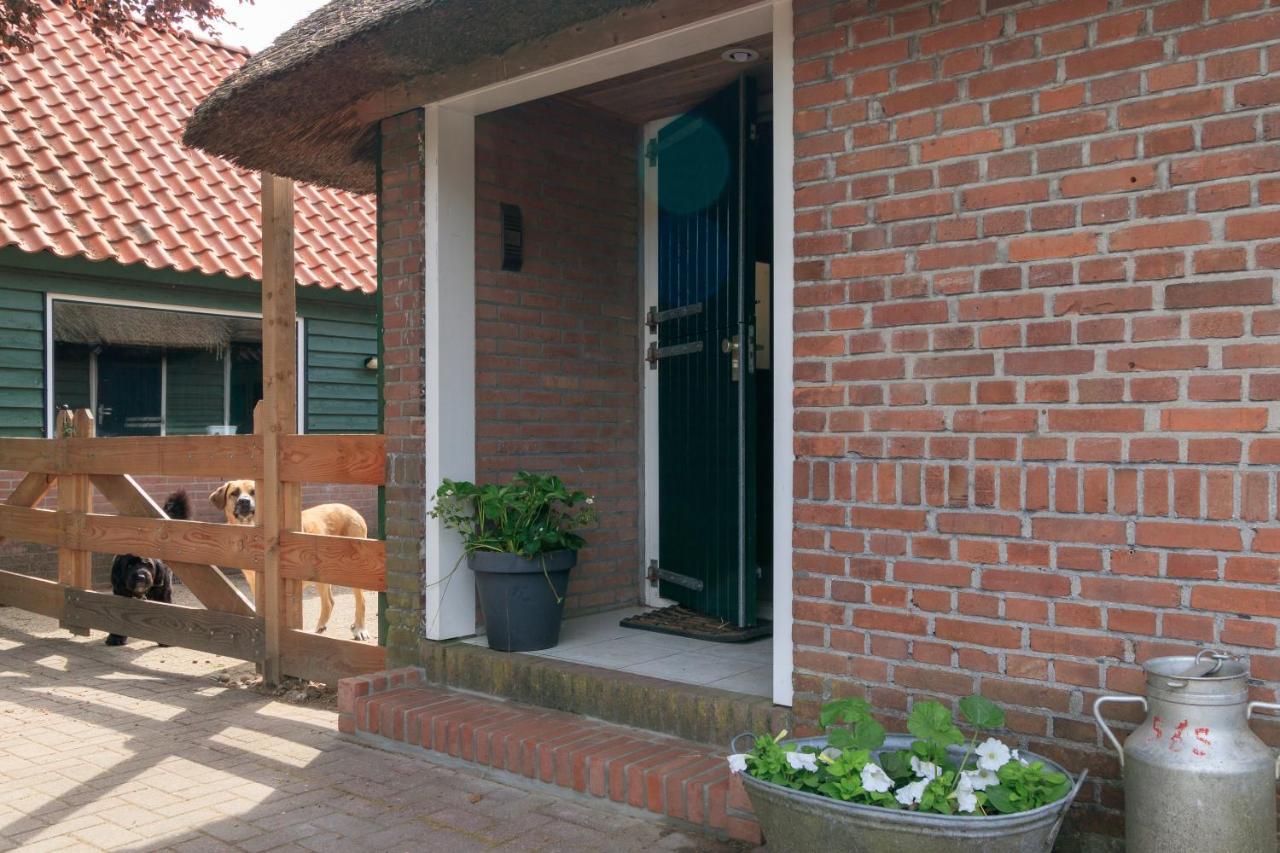 Het Grote Paard Apartamento Havelte Exterior foto